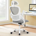 Mesh Ergonomic Office Computer Desk