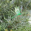 3D Dragonfly Garden Stakes